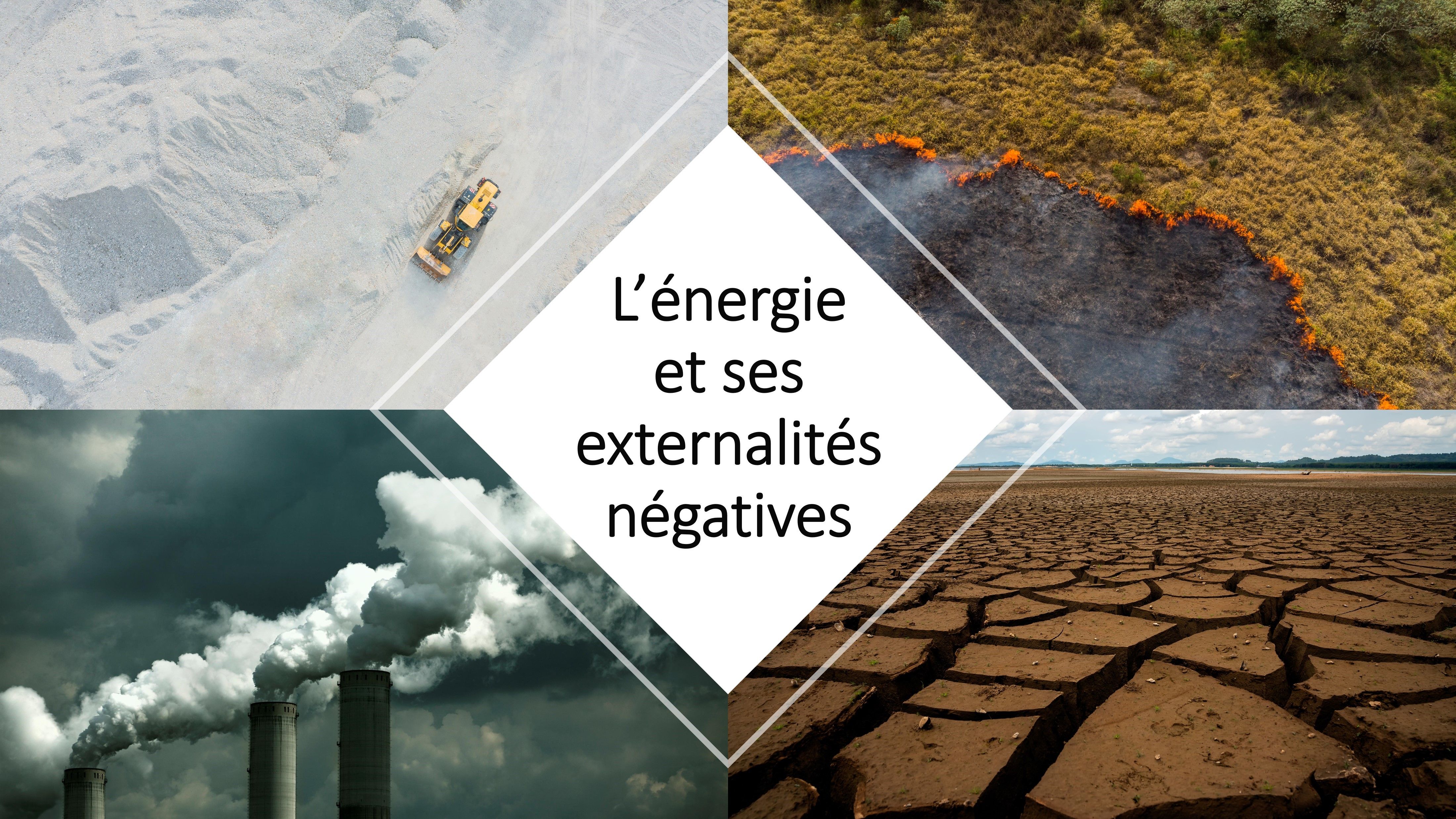 Odoo • une photo avec une légende